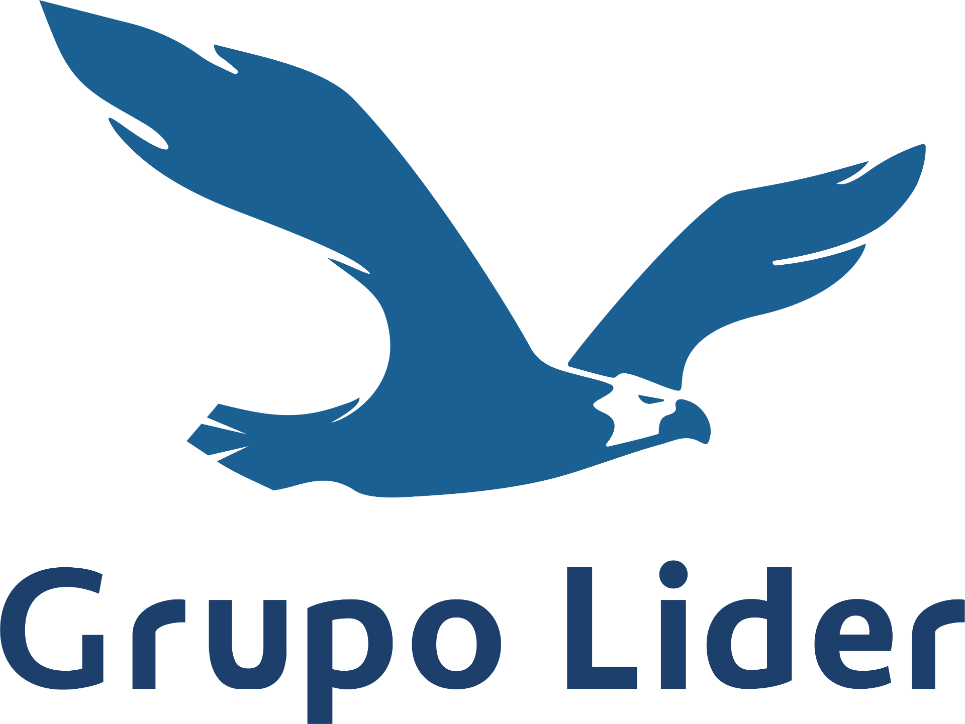 Grupo Lider